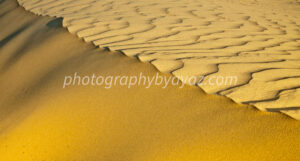 Golden desert sand texture with natural wave patterns – high-resolution digital download & UK wall art print