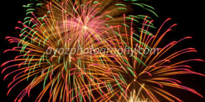 Colorful Fireworks in Night Sky – Festive Celebration Photography Photography by Ayaz
