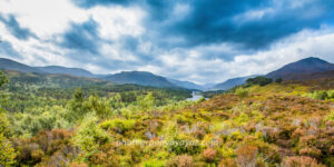 Dramatic Valley with River and Mountains – Atmospheric Landscape Fine Art Photography  Photography by Ayaz
