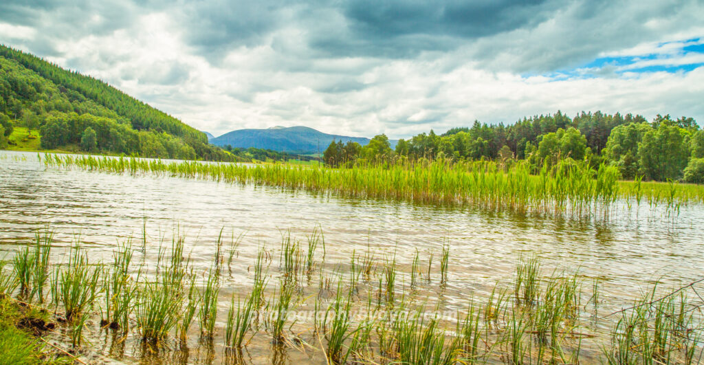 Tranquil Lake with Forest and Mountain – Nature Fine Art Landscape Photography  Photography by Ayaz
