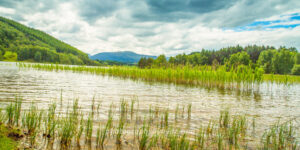 Tranquil Lake with Forest and Mountain – Nature Fine Art Landscape Photography  Photography by Ayaz