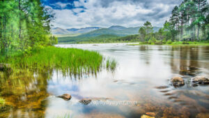 Tranquil River with Forest and Hills – Fine Art Nature Landscape Photography  Photography by Ayaz