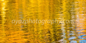 Abstract Autumn Reflections on Water – Vibrant Nature Fine Art Photography Photography by Ayaz