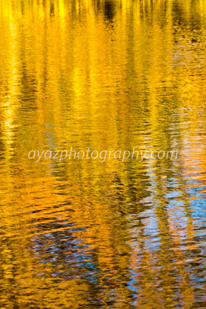 Abstract Autumn Reflections on Water – Vibrant Nature Fine Art Photography  Photography by Ayaz