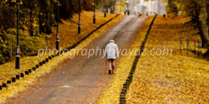 Autumn Pathway with Fallen Leaves – Solitude Street Photography Photography by Ayaz