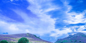 Heather-Covered Hills with Dramatic Sky – Fine Art Landscape Photography  Photography by Ayaz