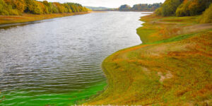 Autumn Riverbend with Vibrant Foliage – Fine Art Landscape Photography  Photography by Ayaz