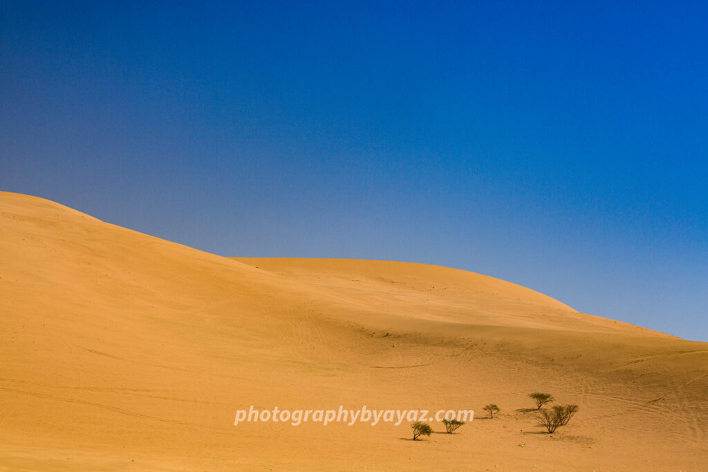 Golden Silence – Fine Art Desert Photography Print
