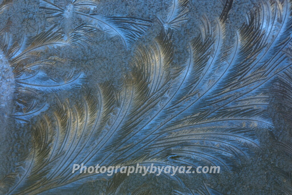 Frost Patterns Fine Art Photography Print