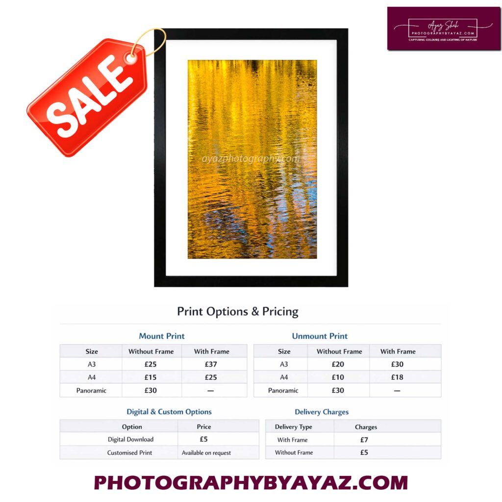 Vibrant Water Reflection – Fine Art Photography Print