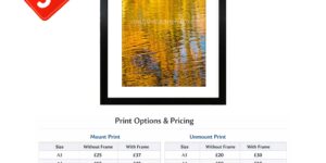 Vibrant Water Reflection – Fine Art Photography Print