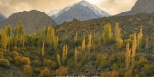 Golden Autumn Lake with Snow-Capped Peaks – Fine Art Photography Print