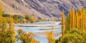 Autumn River Valley with Golden Trees – Fine Art Photography Print