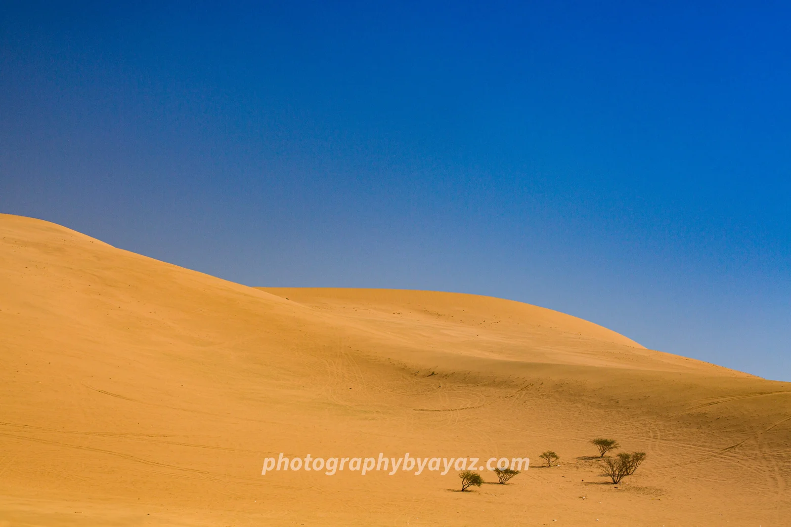 Golden Desert Dunes Landscape Wall Art - Image 2