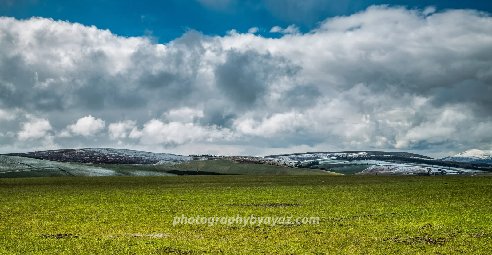 Winter Meadow Landscape Wall Art - Image 2